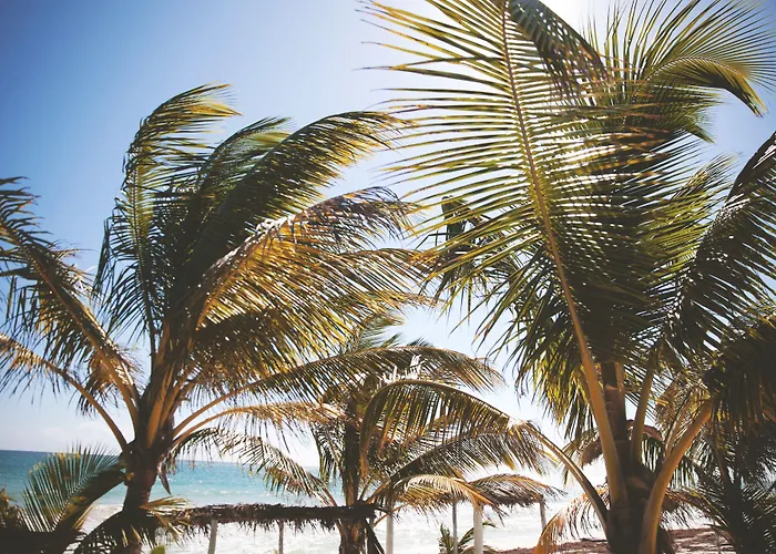 Hotel Nomade Temple Tulum